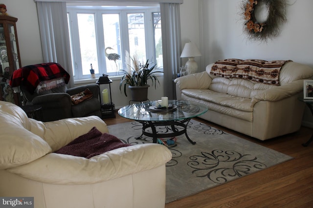 living room with hardwood / wood-style flooring