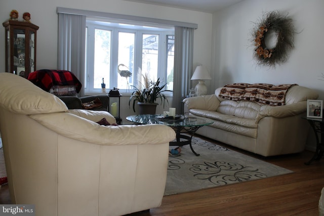 living room with dark wood-type flooring