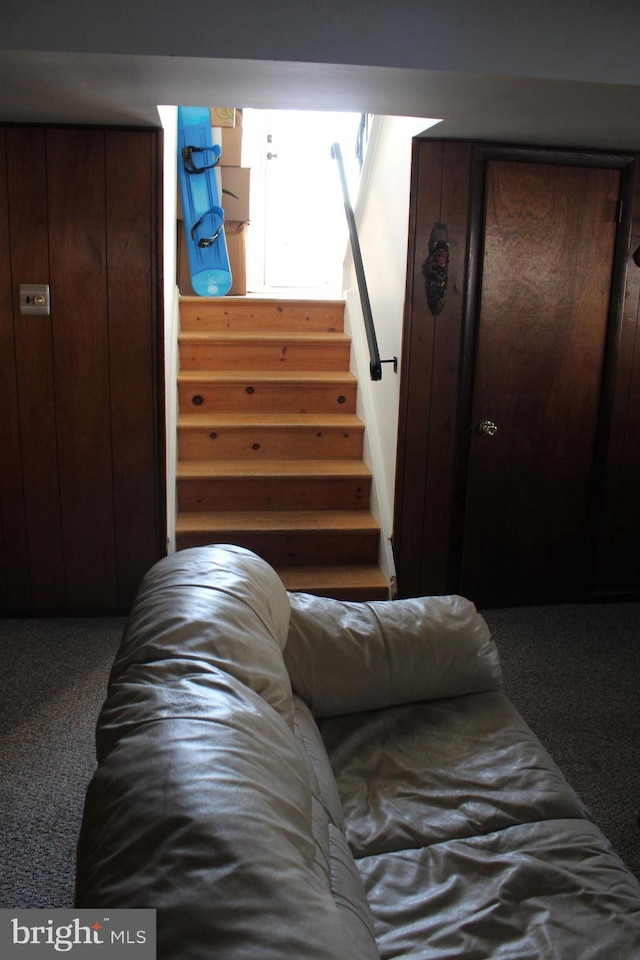 stairway featuring carpet floors