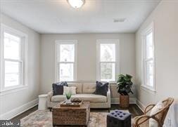 living room with plenty of natural light