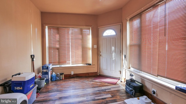 entrance foyer featuring dark hardwood / wood-style flooring