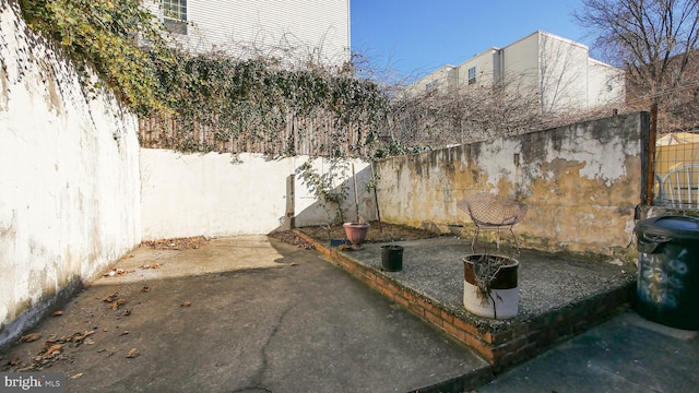 view of yard with a patio area