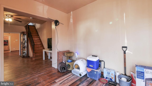 interior space featuring ceiling fan and dark hardwood / wood-style floors