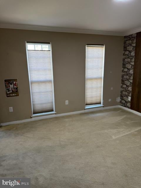 unfurnished room with ornamental molding and light carpet