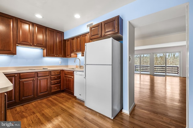 kitchen featuring dark hardwood / wood-style flooring, white appliances, and sink