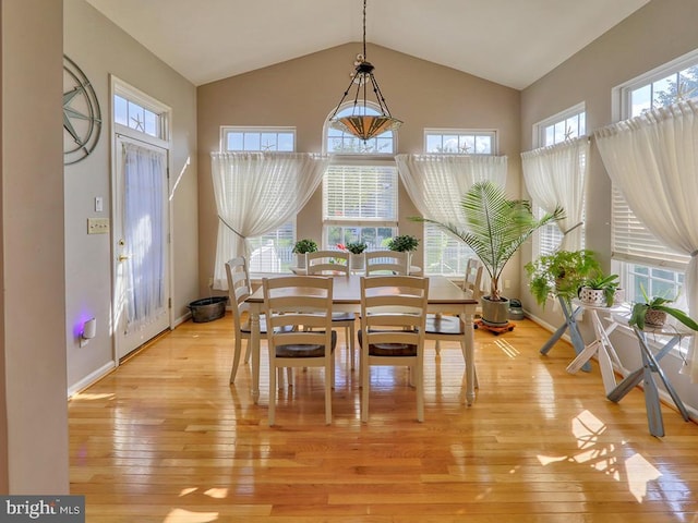 dining space with light hardwood / wood-style floors and a wealth of natural light