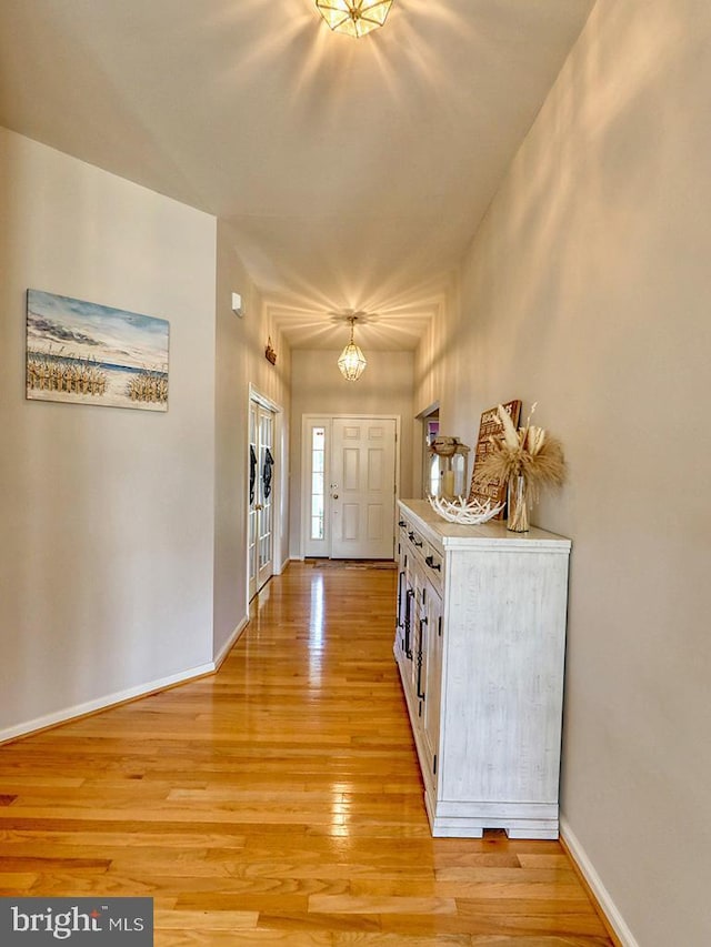 entrance foyer with light wood-type flooring