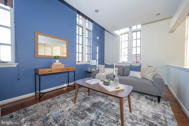 living room with wood-type flooring