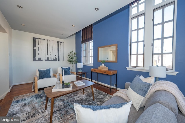 living room with wood-type flooring