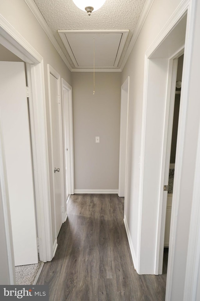 corridor with ornamental molding, a textured ceiling, and dark wood-type flooring