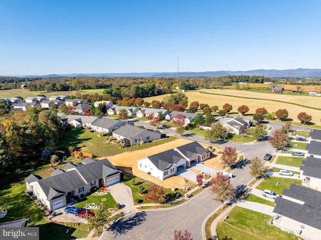 drone / aerial view