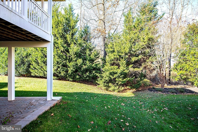 view of yard featuring a patio area