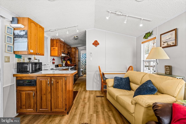 kitchen featuring lofted ceiling, sink, ornamental molding, a textured ceiling, and light hardwood / wood-style floors