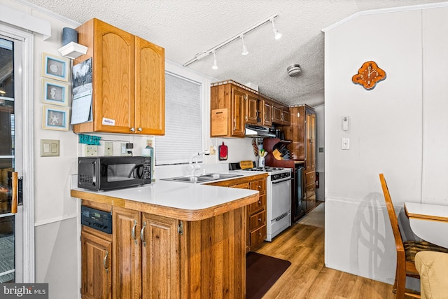 kitchen featuring sink, white range with gas stovetop, a textured ceiling, and light hardwood / wood-style floors