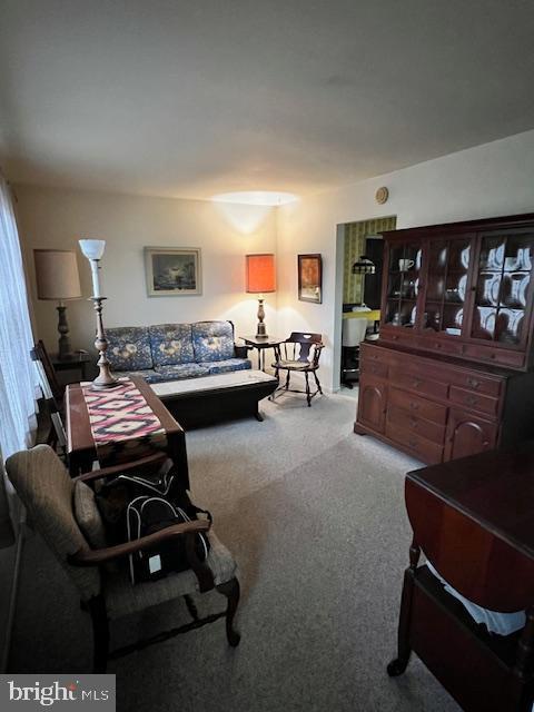 living room with light carpet