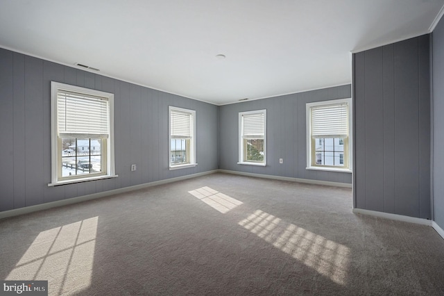 carpeted spare room featuring a wealth of natural light and wood walls