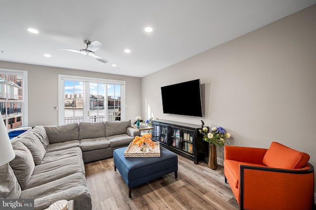 living room featuring ceiling fan and wood-type flooring