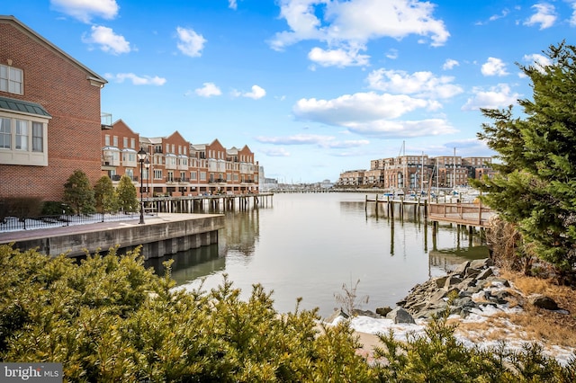 dock area with a water view