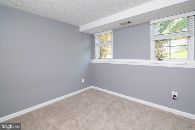 carpeted empty room with a healthy amount of sunlight and a textured ceiling