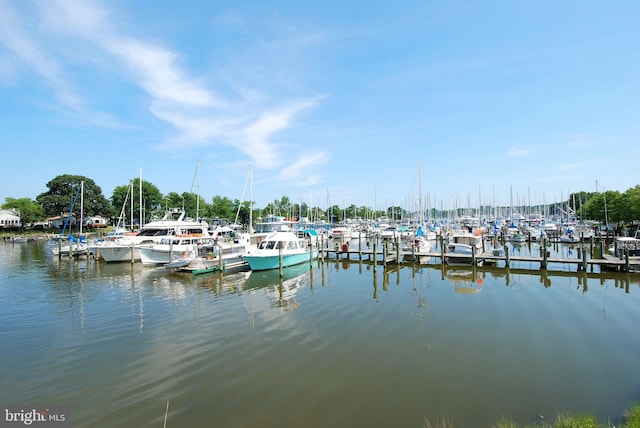 property view of water featuring a dock