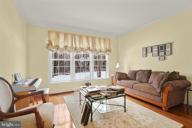 living room with crown molding and wood-type flooring