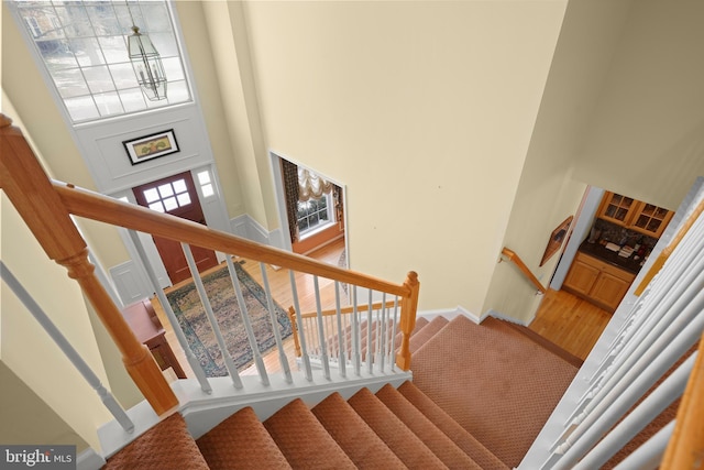 stairway with a towering ceiling and carpet flooring