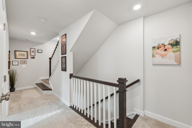 staircase featuring carpet