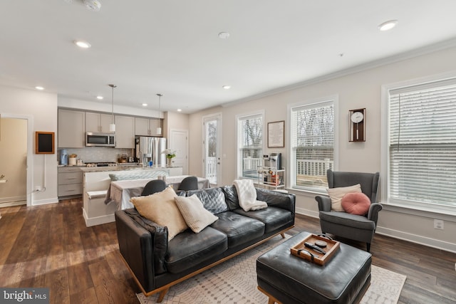 living room featuring dark hardwood / wood-style floors and crown molding