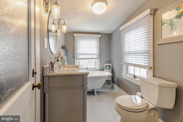 bathroom with a washtub, vanity, toilet, and a wealth of natural light