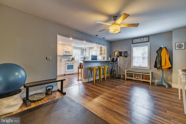 miscellaneous room featuring dark hardwood / wood-style floors and ceiling fan