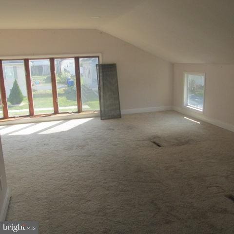 additional living space with carpet floors and lofted ceiling