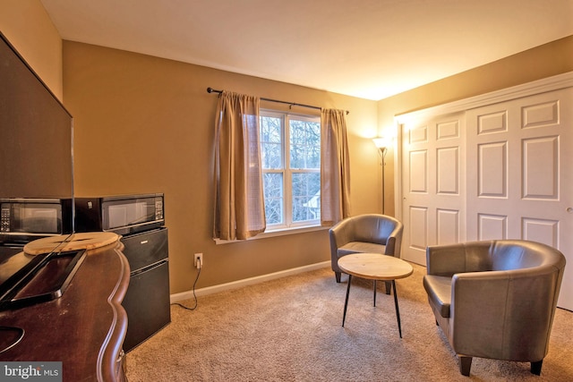 sitting room with light carpet