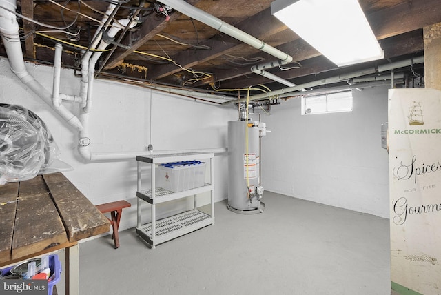 basement featuring gas water heater