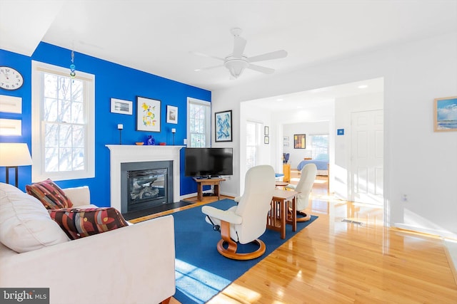 living room with ceiling fan and wood-type flooring