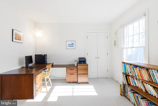 view of carpeted office space