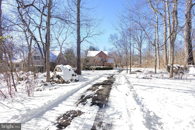 view of snowy yard