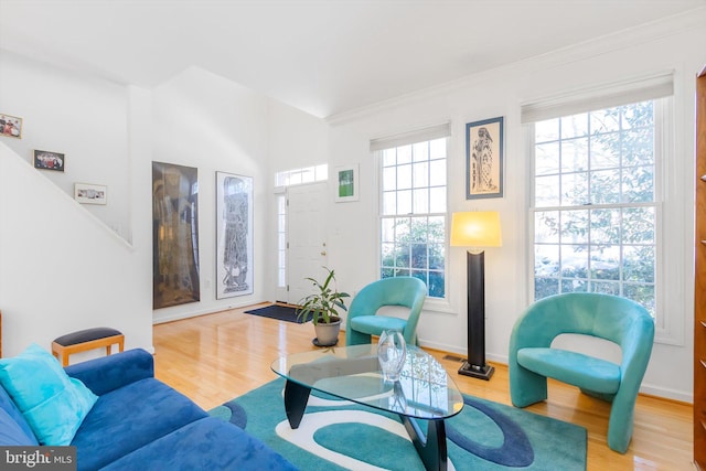 living room featuring light hardwood / wood-style floors