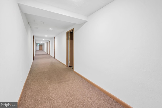 hallway featuring light carpet