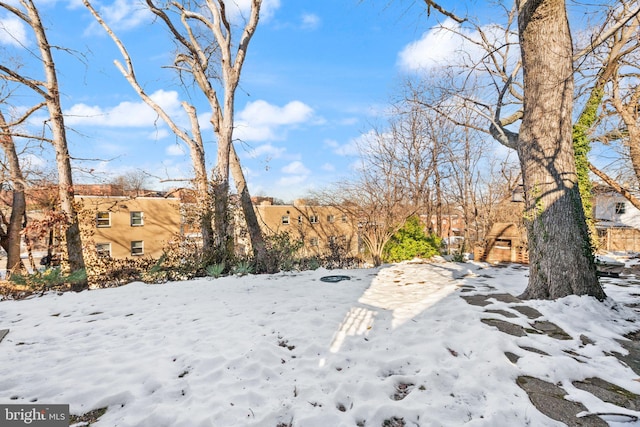 view of snowy yard