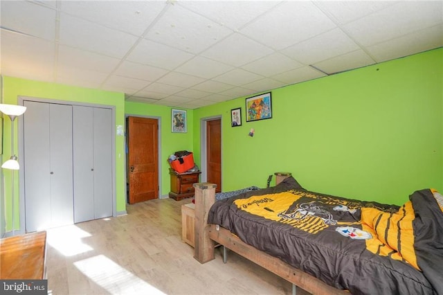 bedroom with a closet, a drop ceiling, and light hardwood / wood-style floors