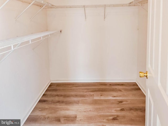 spacious closet featuring wood-type flooring