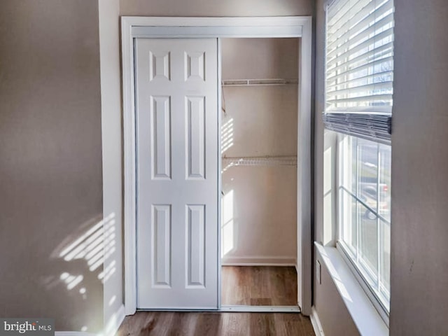 view of closet