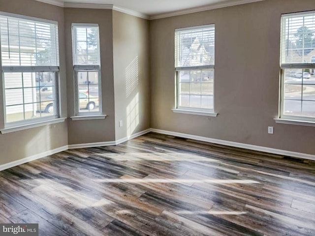 spare room with ornamental molding, dark wood-type flooring, and a healthy amount of sunlight