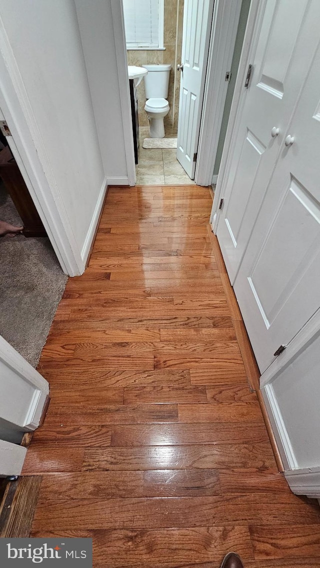 hallway with wood-type flooring