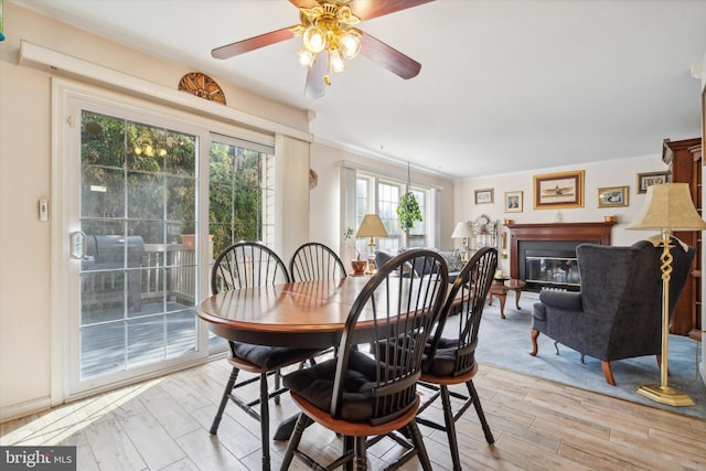 dining room with light wood-type flooring and ceiling fan