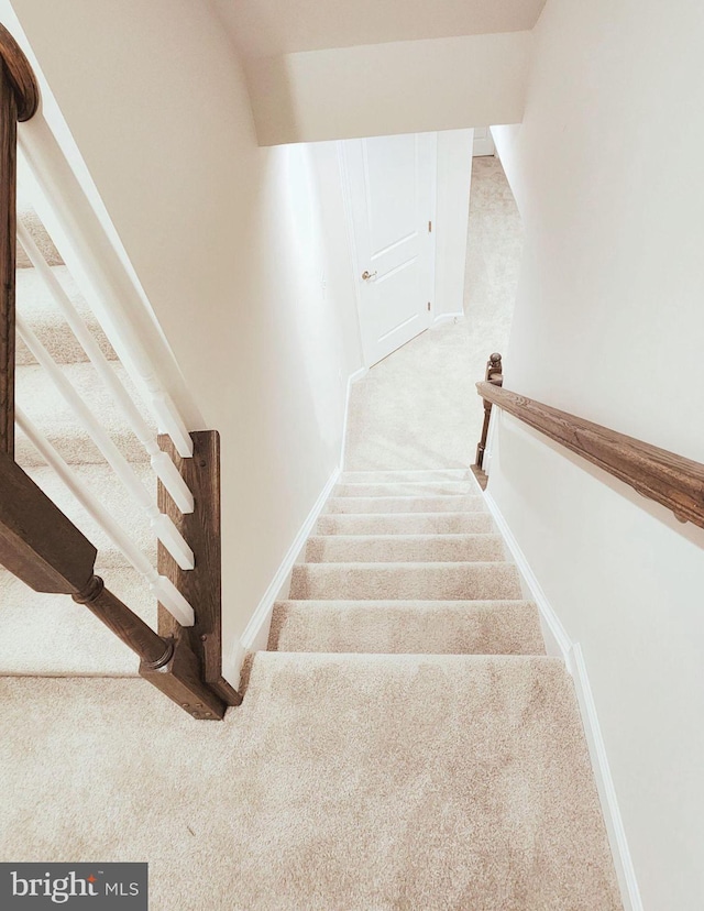 stairway with carpet floors