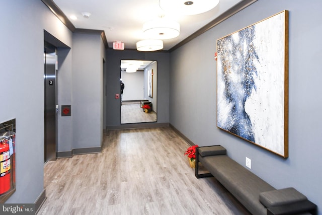 hallway with light wood-type flooring and crown molding