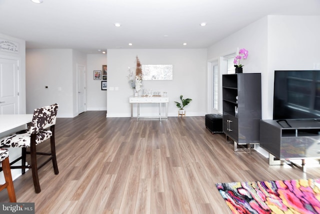 living room featuring wood-type flooring