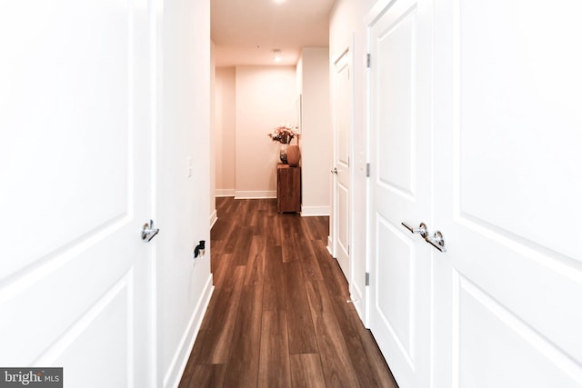 hall featuring dark wood-type flooring