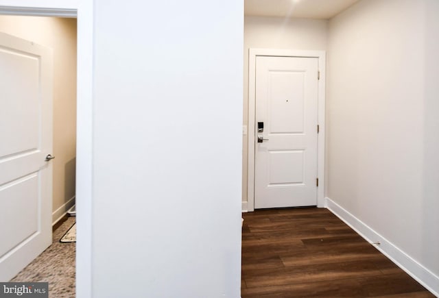 hallway featuring dark wood-type flooring